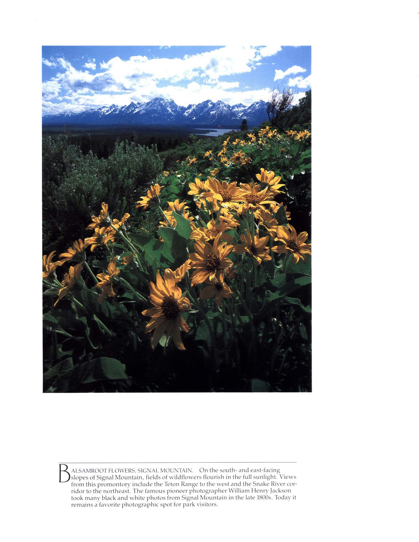 GRAND TETON NATIONAL PARK: where lightning walks. GRTE0696n